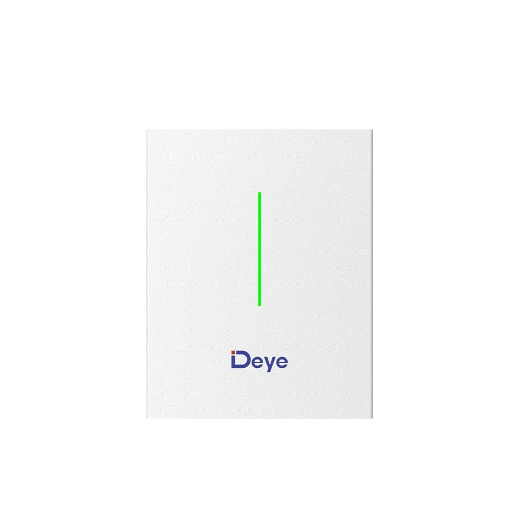 Deye RW-F10